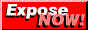 Submit to Twenty International Search Engines On-Line for FREE!